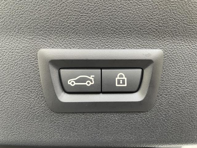 ＢＭＷ Ｘ４ ｘＤｒｉｖｅ ２０ｄ Ｍスポーツ 0.6万Km 514.0万円(愛知県)[127]の中古車詳細