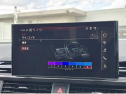 Ａ４アバント ４０ＴＤＩクワトロ Ｓライン マイスターシュトュックの中古車画像